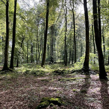 Вилла Le Courtil Cerisy-la-Foret Экстерьер фото